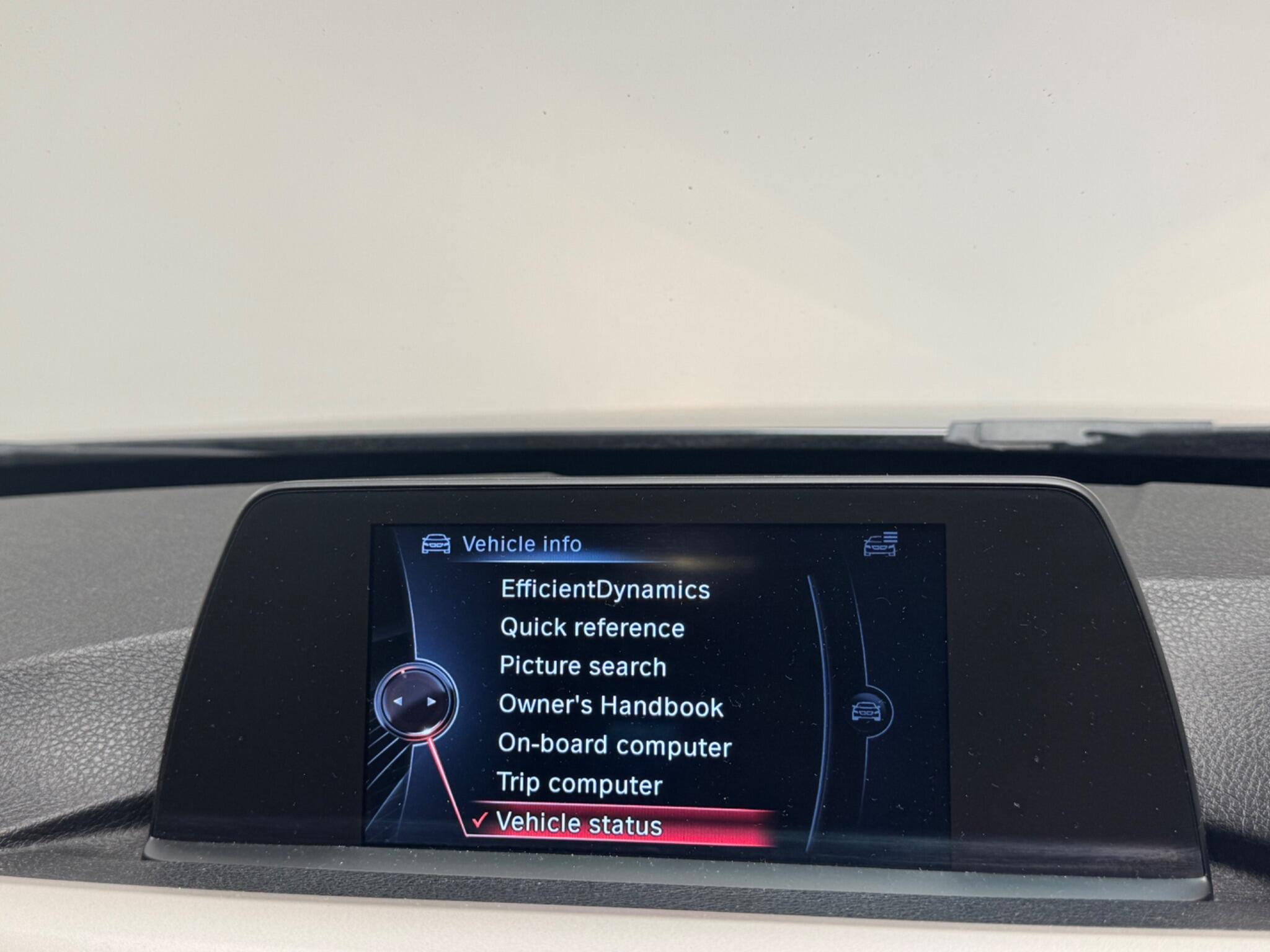 BMW 3 Series view 18