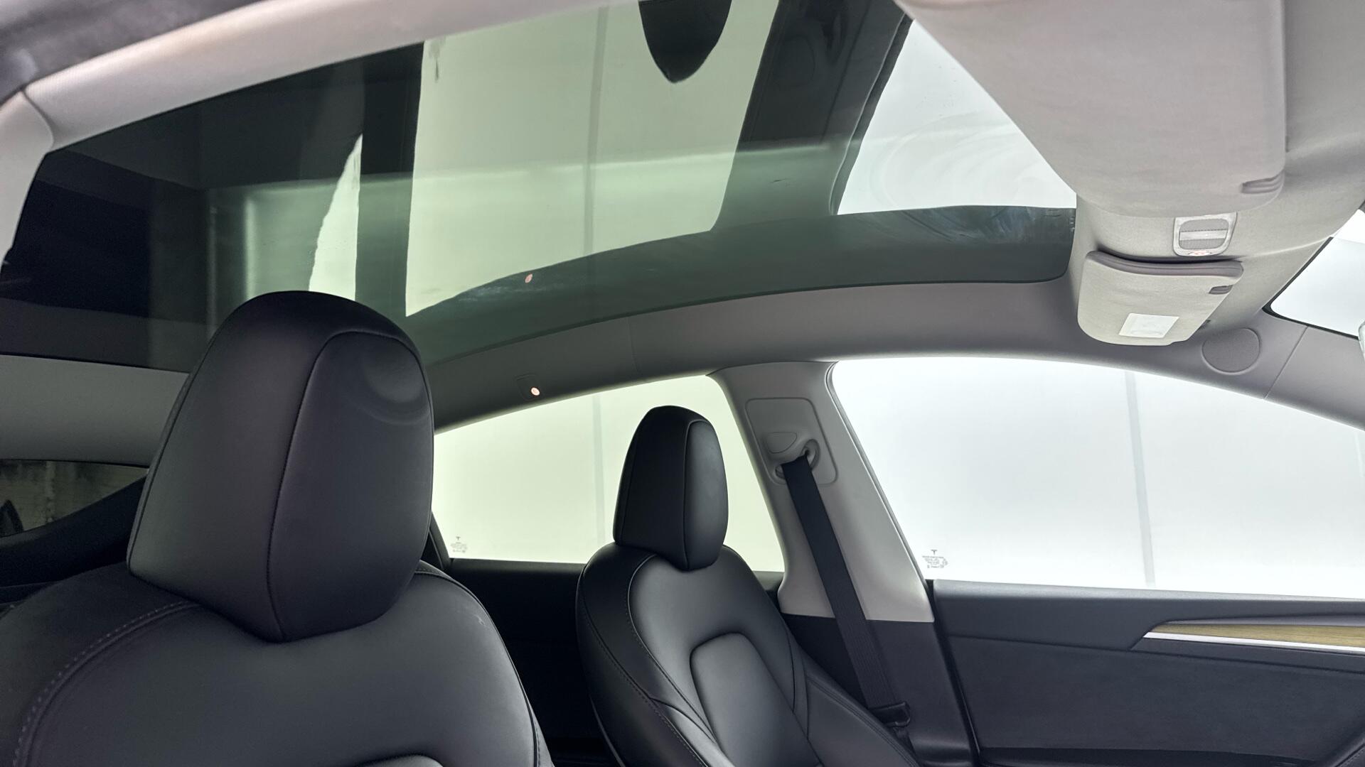 Tesla Model Y view 16