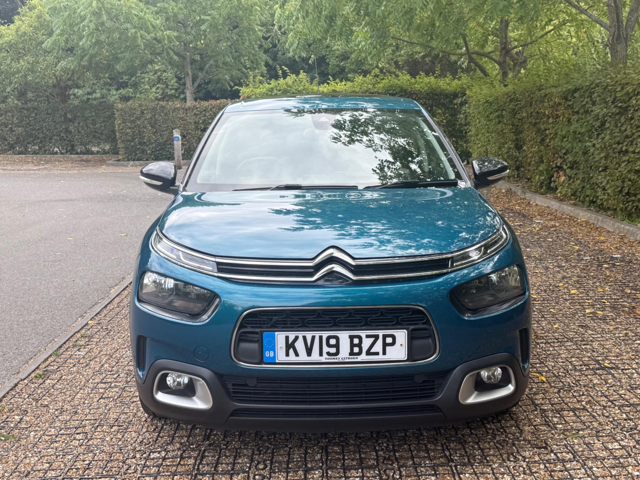 Citroen C4 Cactus view 16