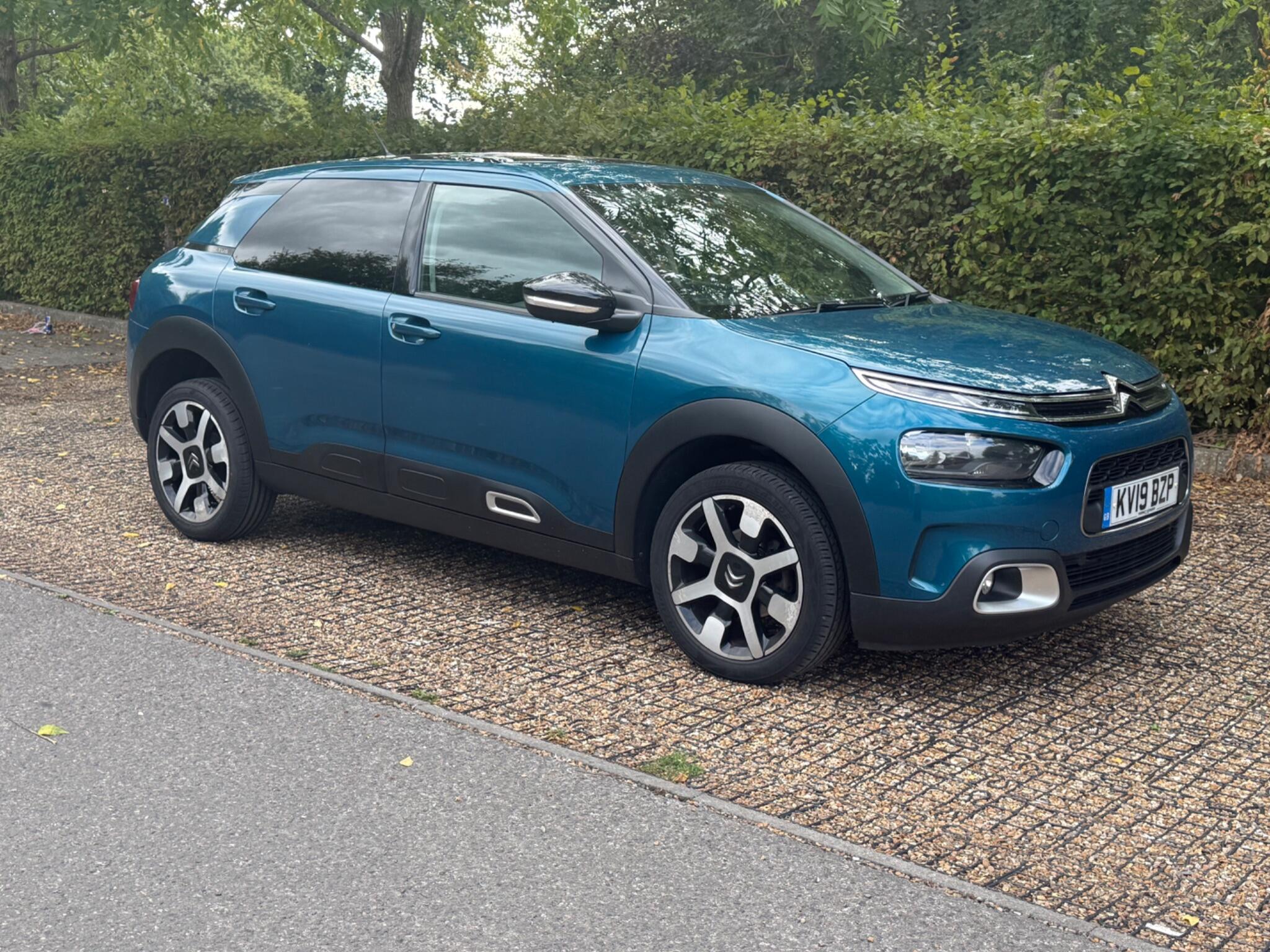 Citroen C4 Cactus view 11