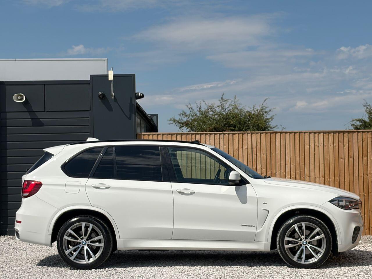 BMW X5 view 11