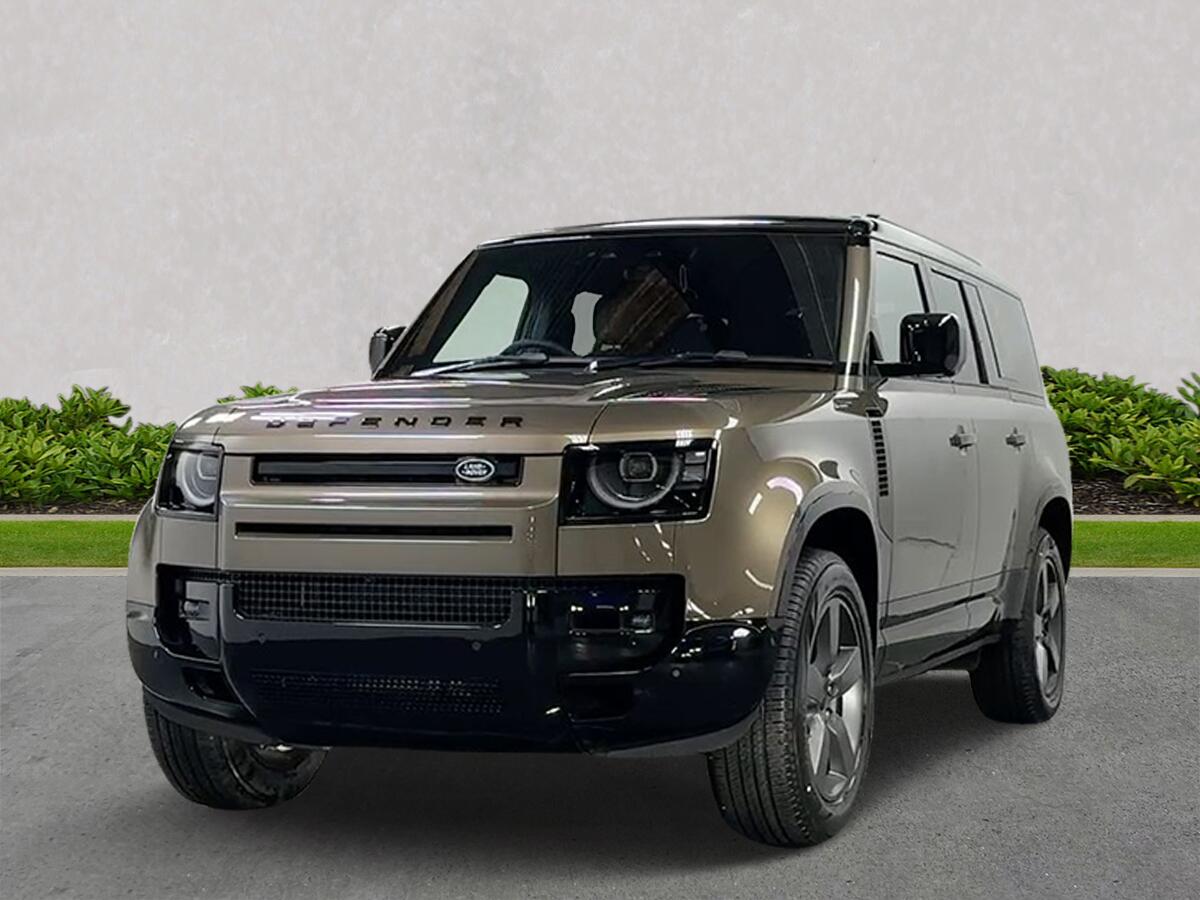 Land Rover Defender view 20