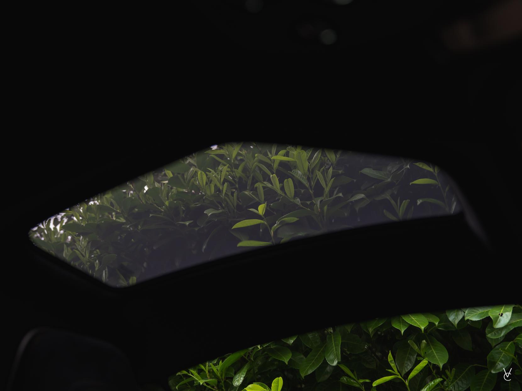 McLaren Senna view 32