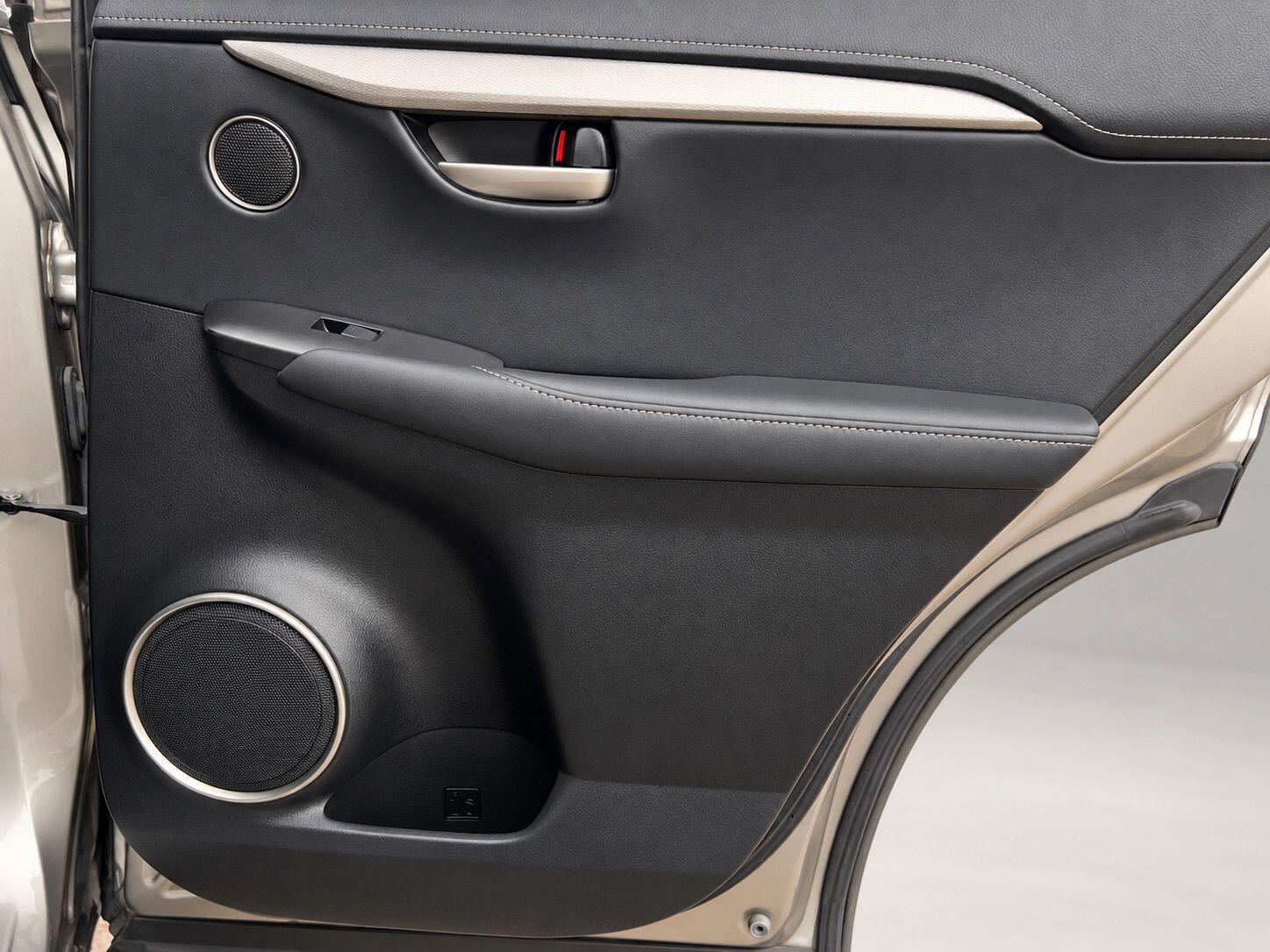 Lexus NX view 28