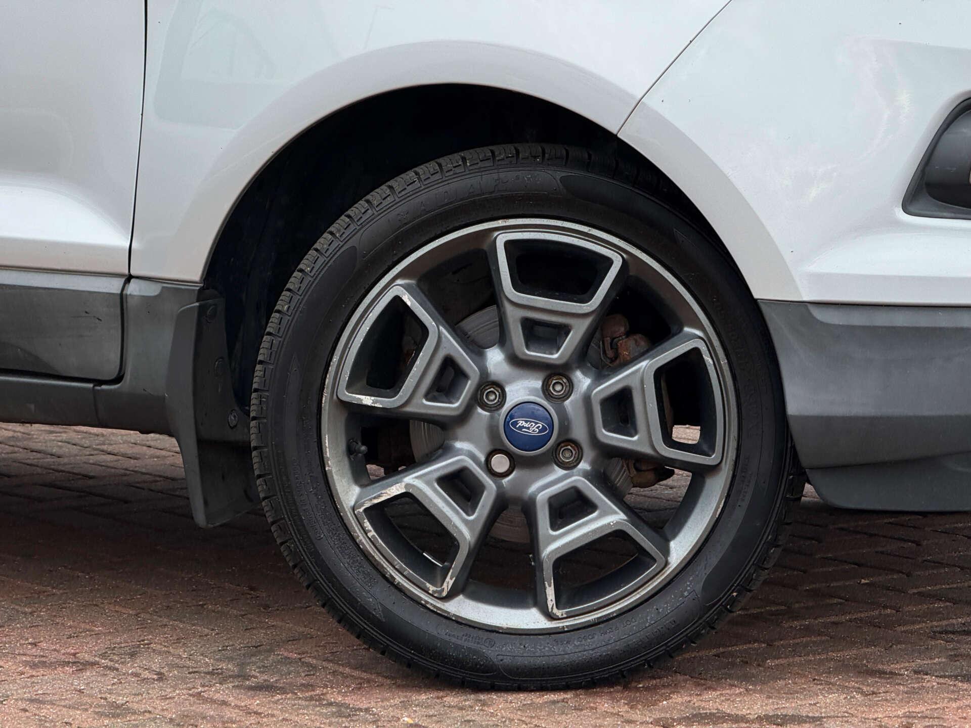Ford Ecosport view 19