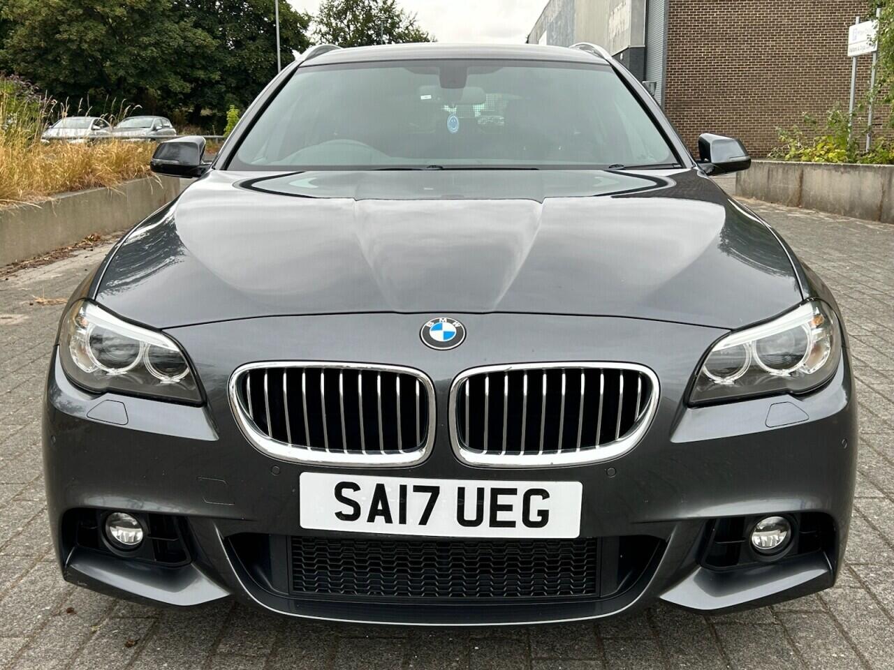 BMW 5 Series view 13