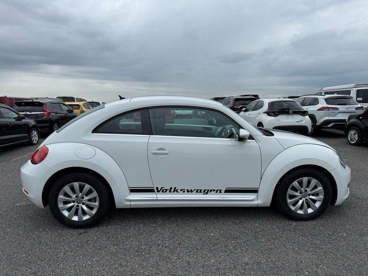 Volkswagen Beetle view 6