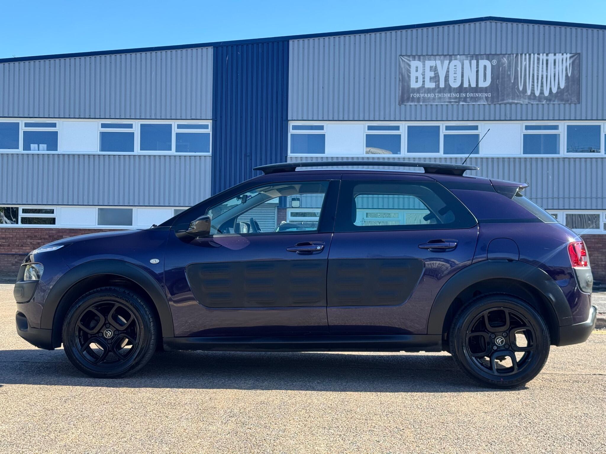 Citroen C4 Cactus view 13
