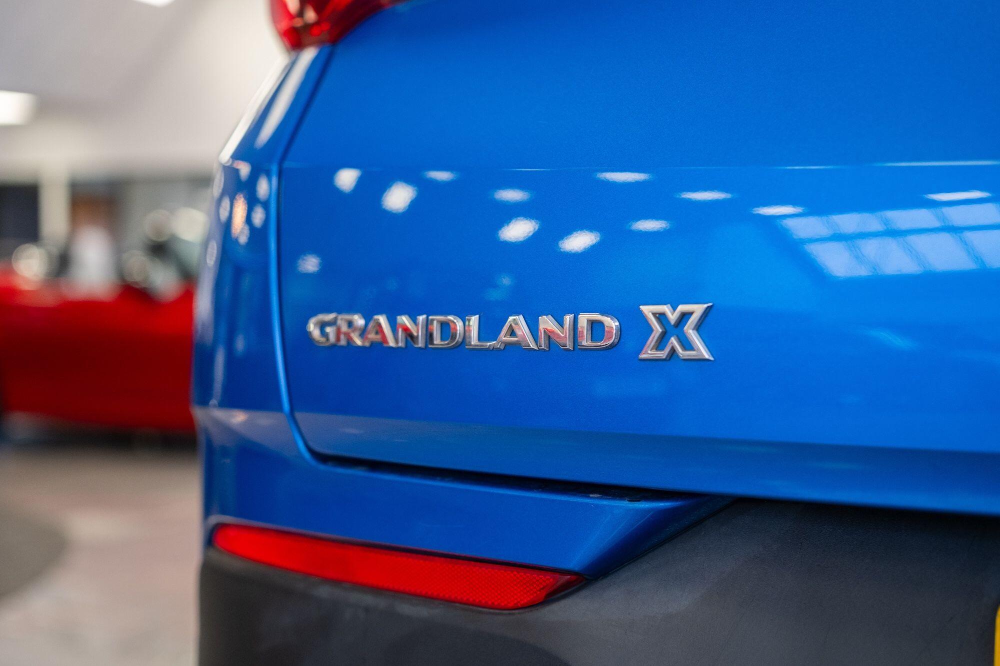 Vauxhall Grandland X view 19