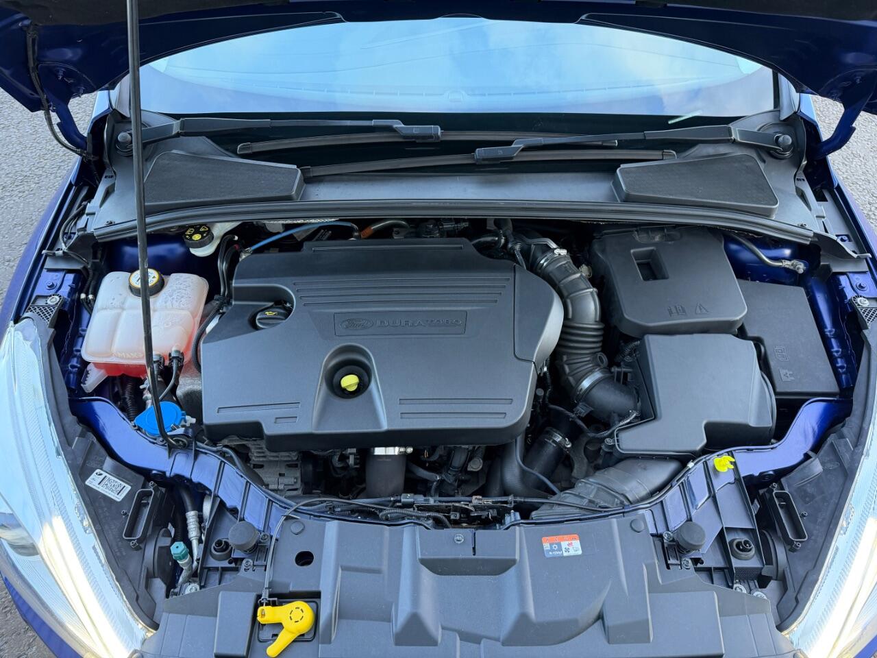 Ford Focus view 19
