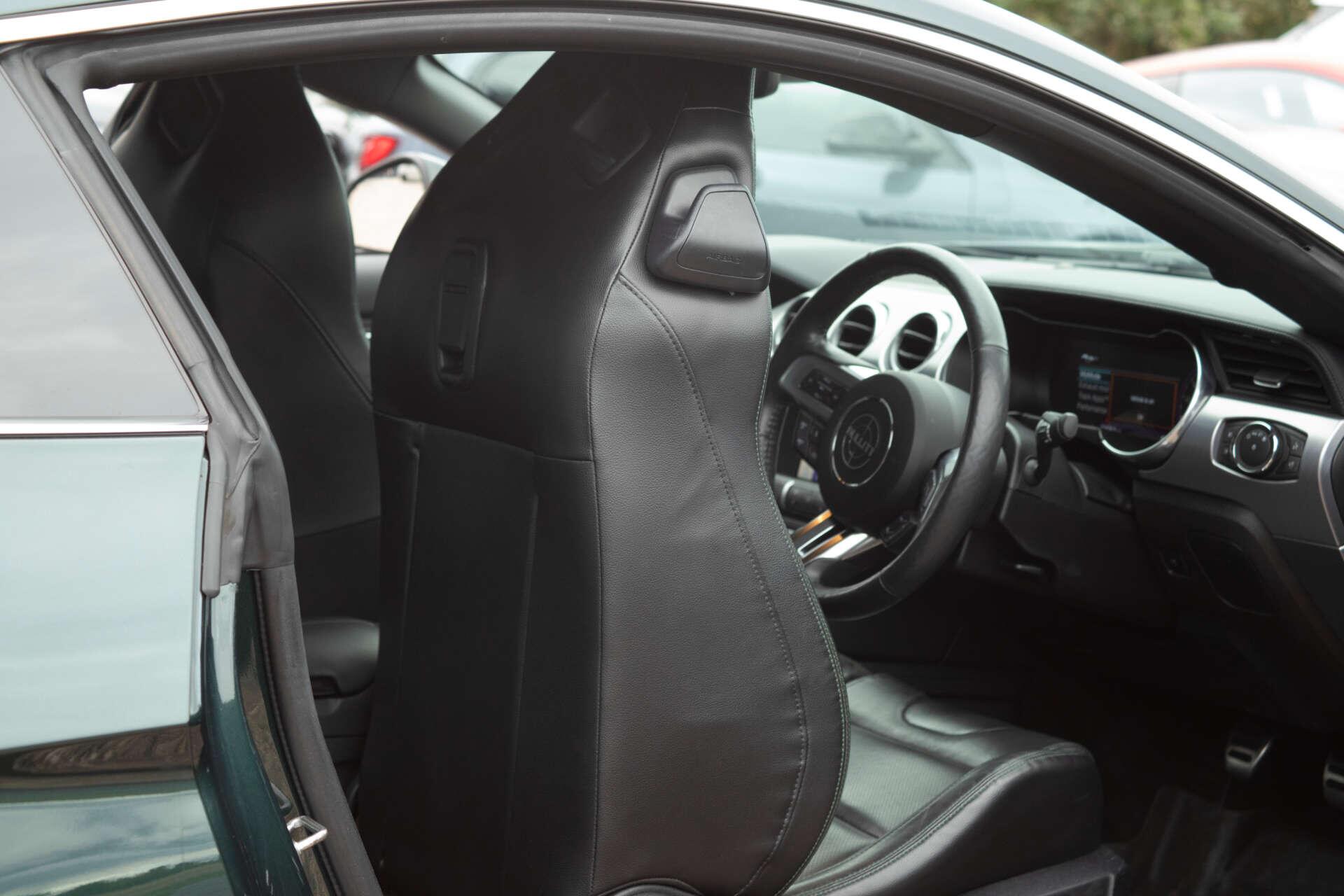 Ford Mustang view 30