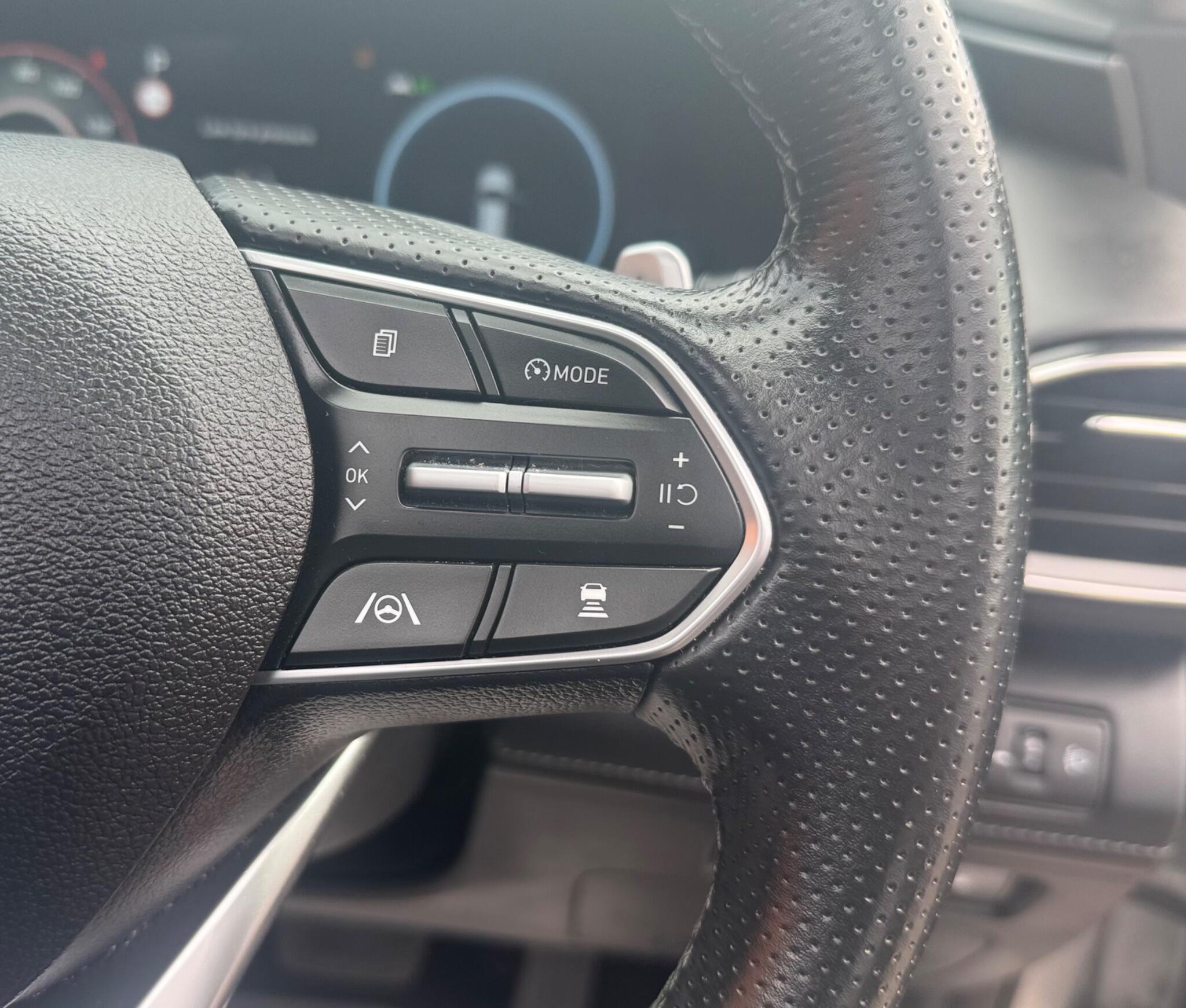 Hyundai Santa FE view 19