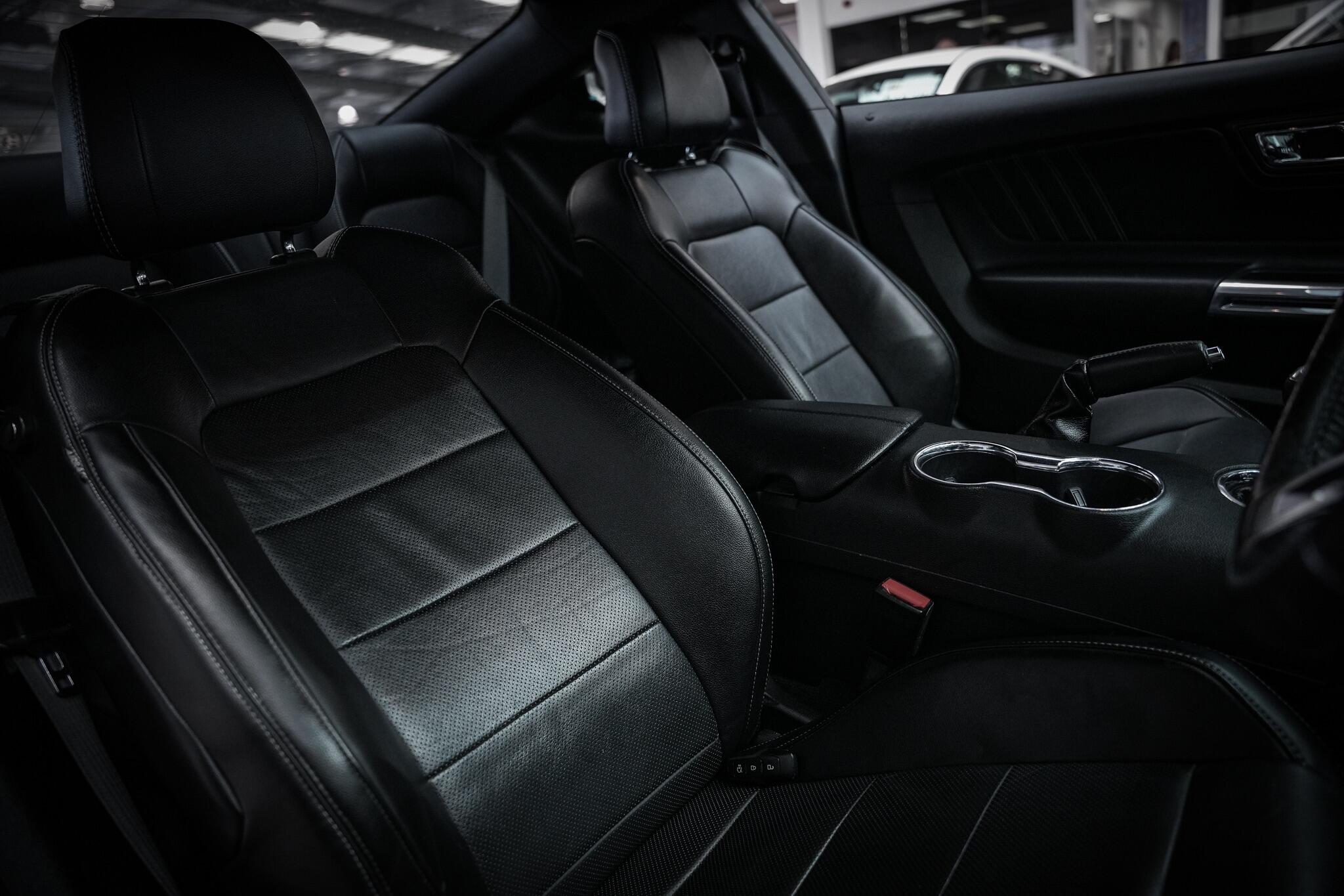 Ford Mustang view 17