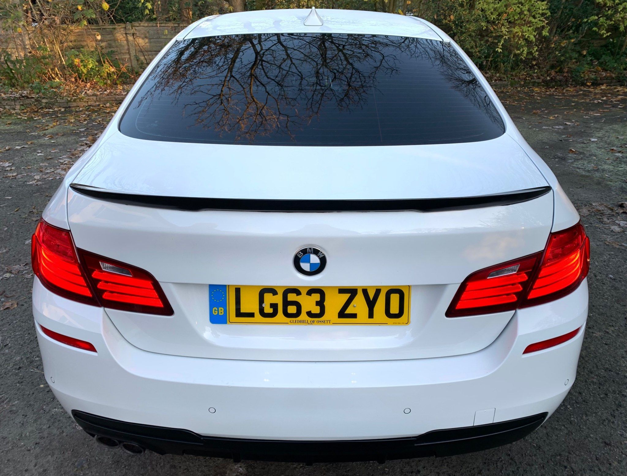 BMW 5 Series view 6