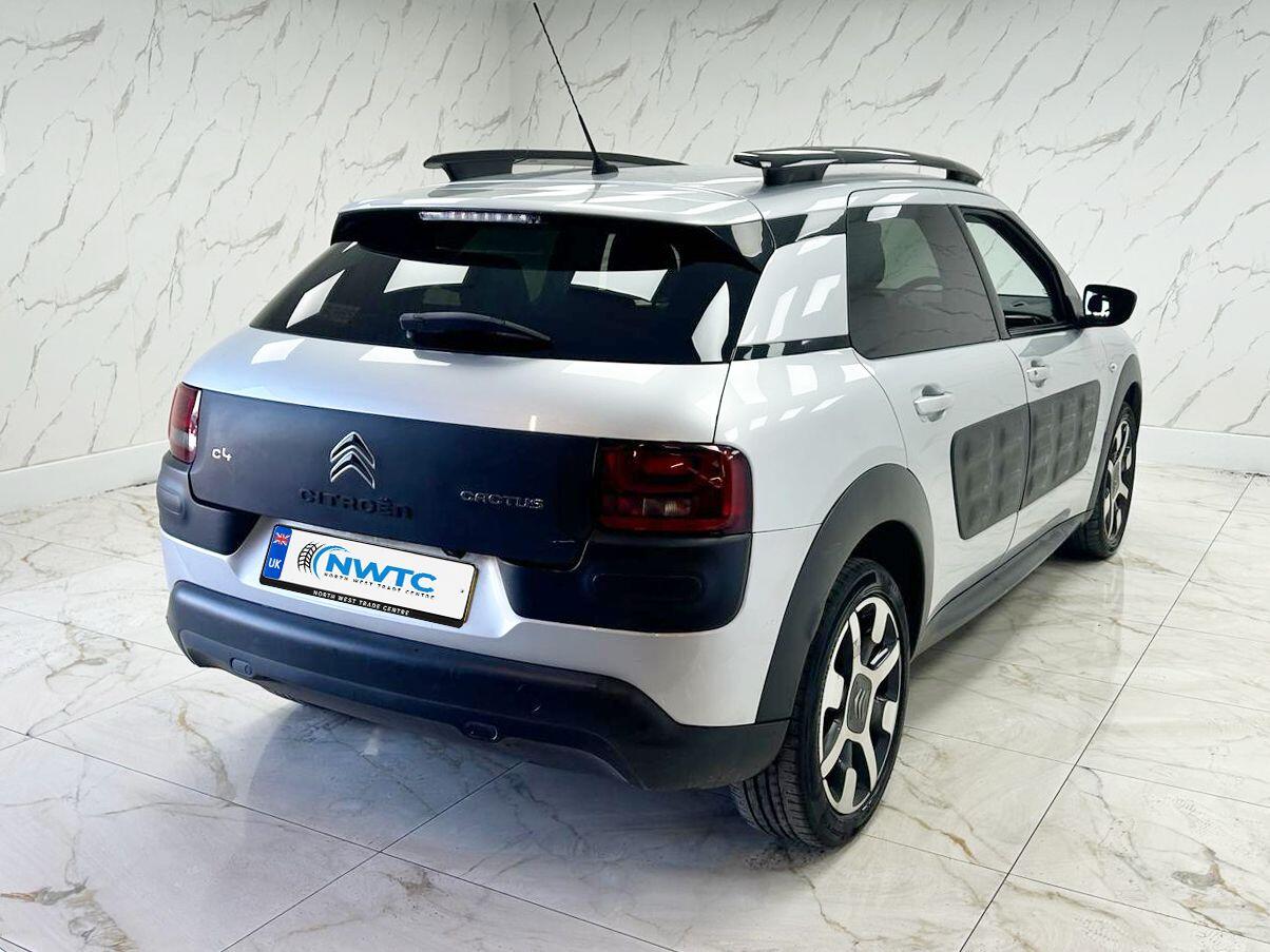 Citroen C4 Cactus view 10