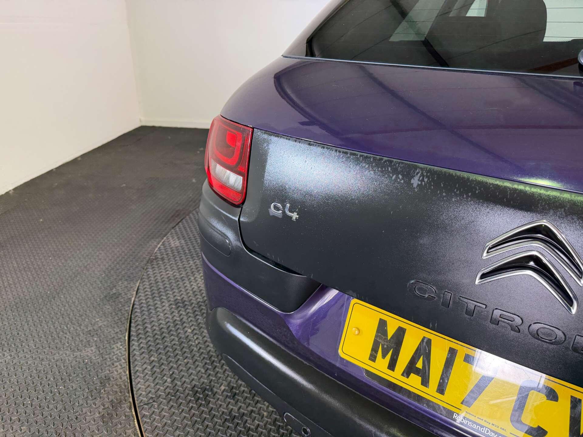 Citroen C4 Cactus view 10