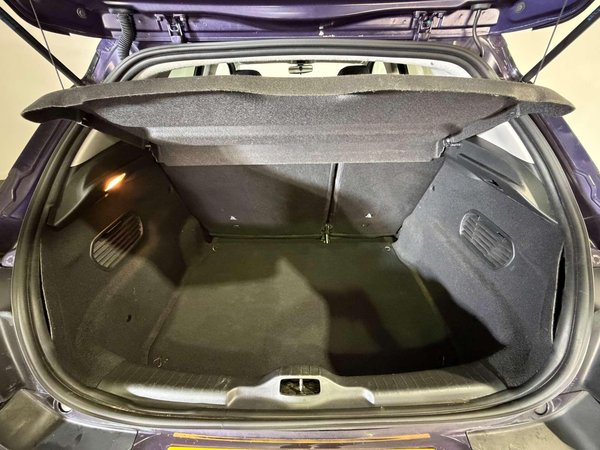 Citroen C4 Cactus view 12