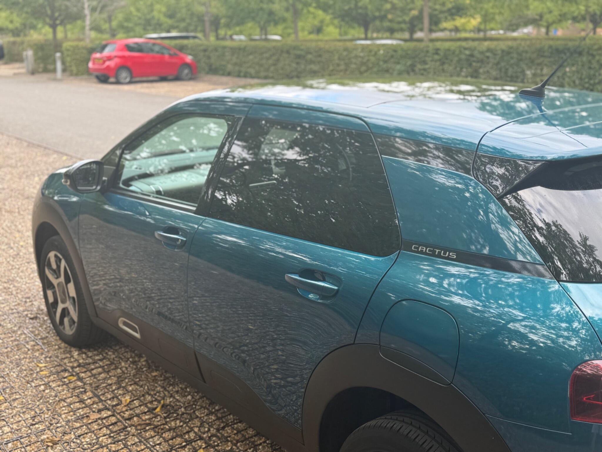 Citroen C4 Cactus view 25