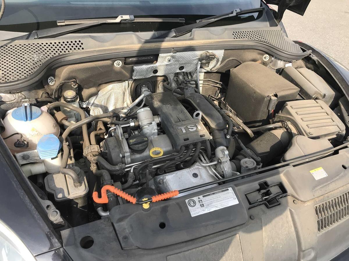 Volkswagen Beetle view 12
