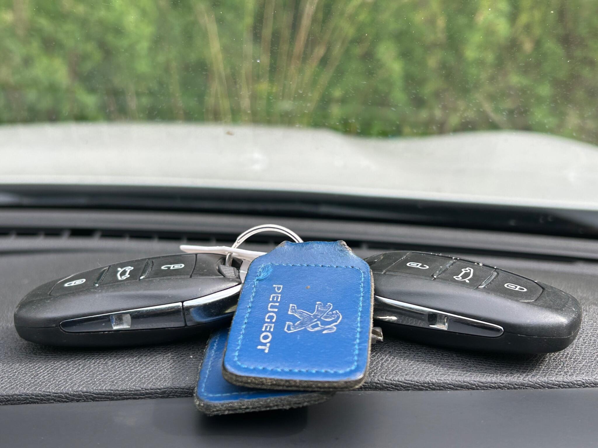 Peugeot 3008 view 59