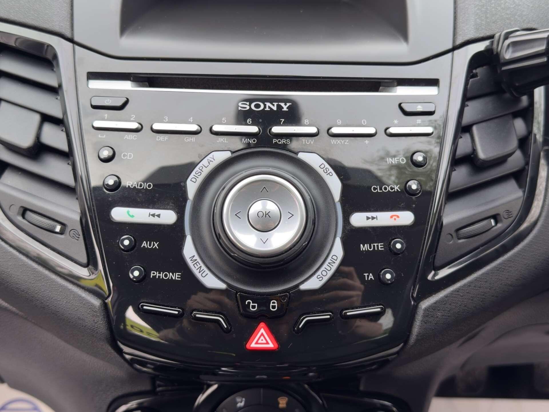 Ford Fiesta view 22