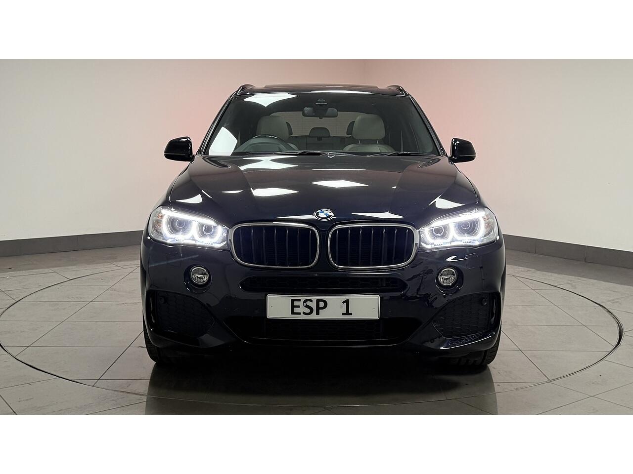 BMW X5 view 10