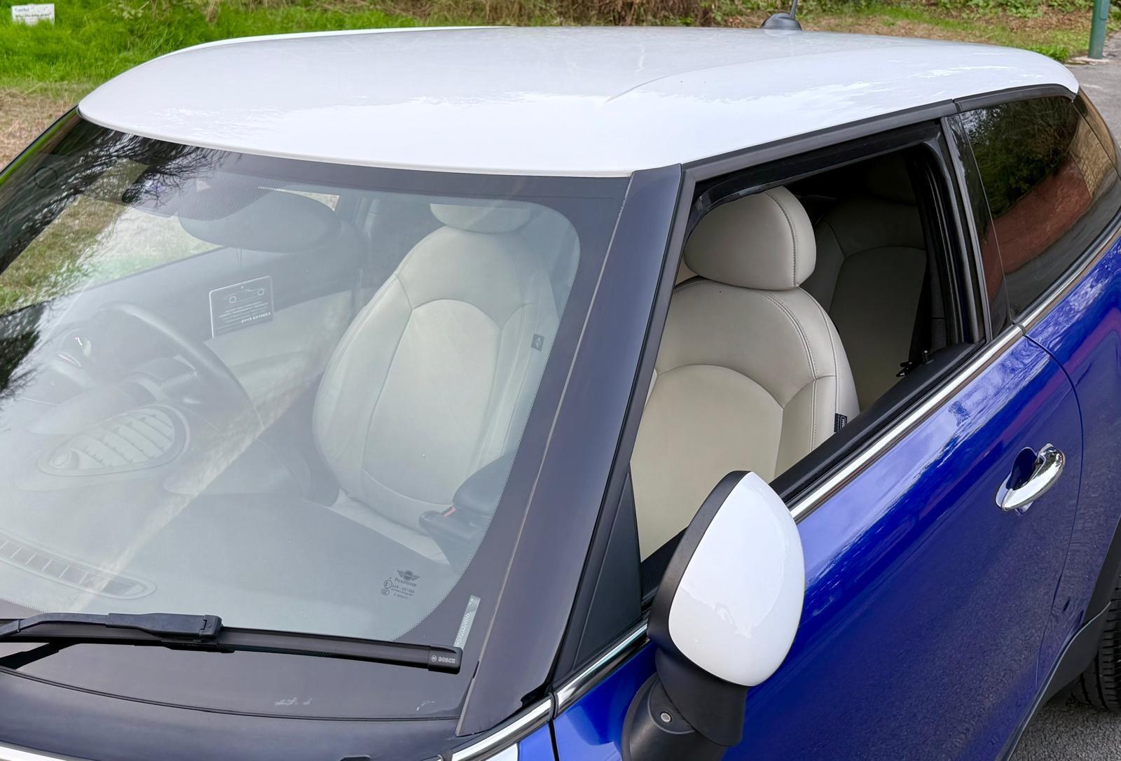 Mini Paceman view 81