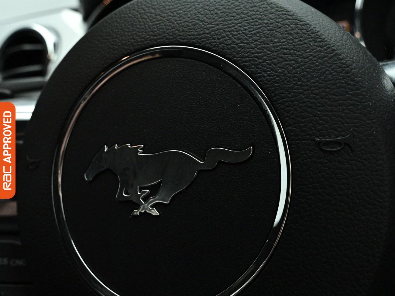 Ford Mustang view 23