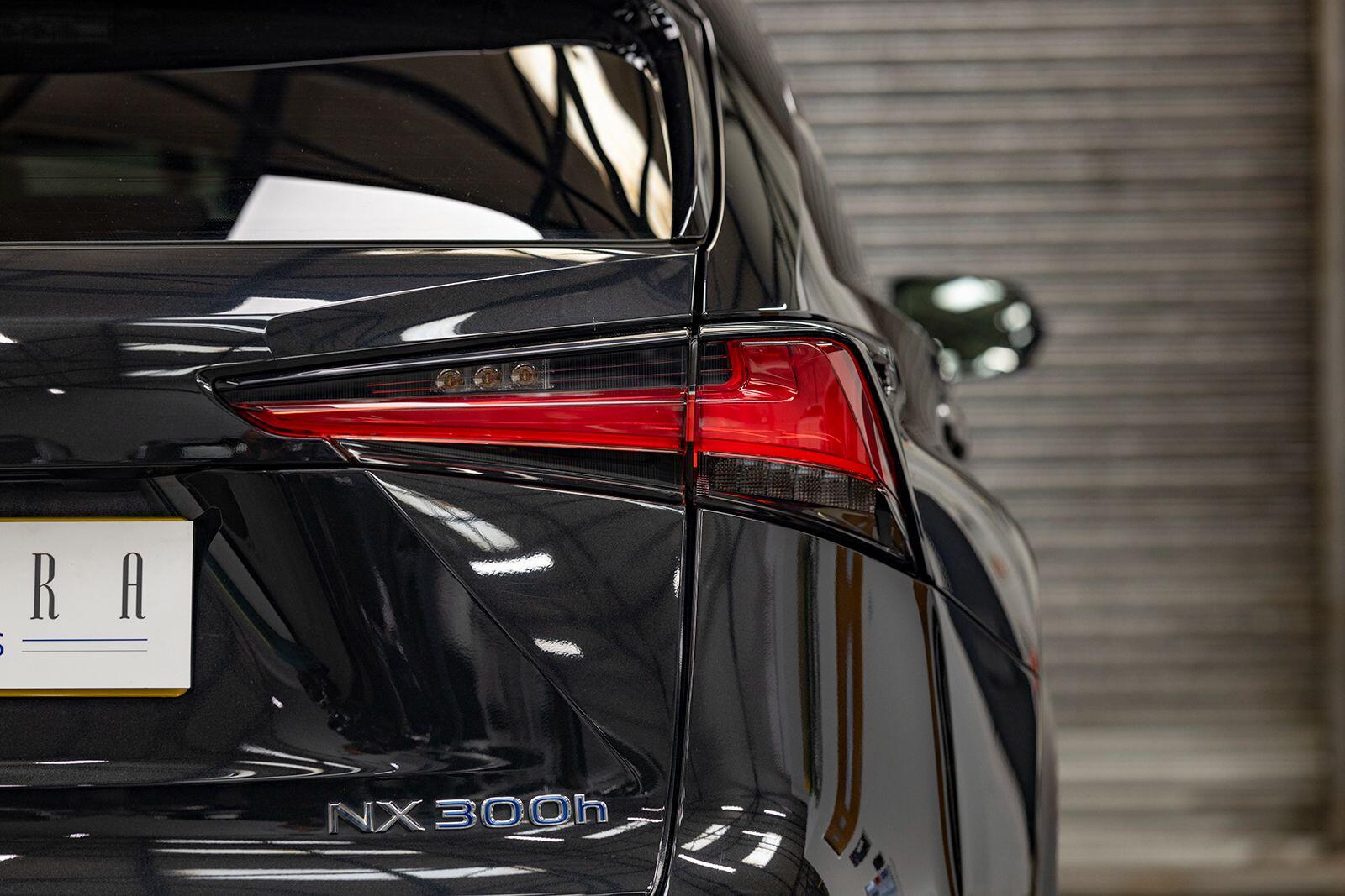 Lexus NX view 61