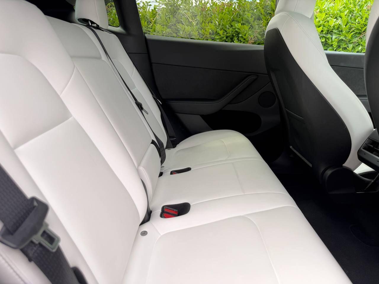 Tesla Model Y view 18