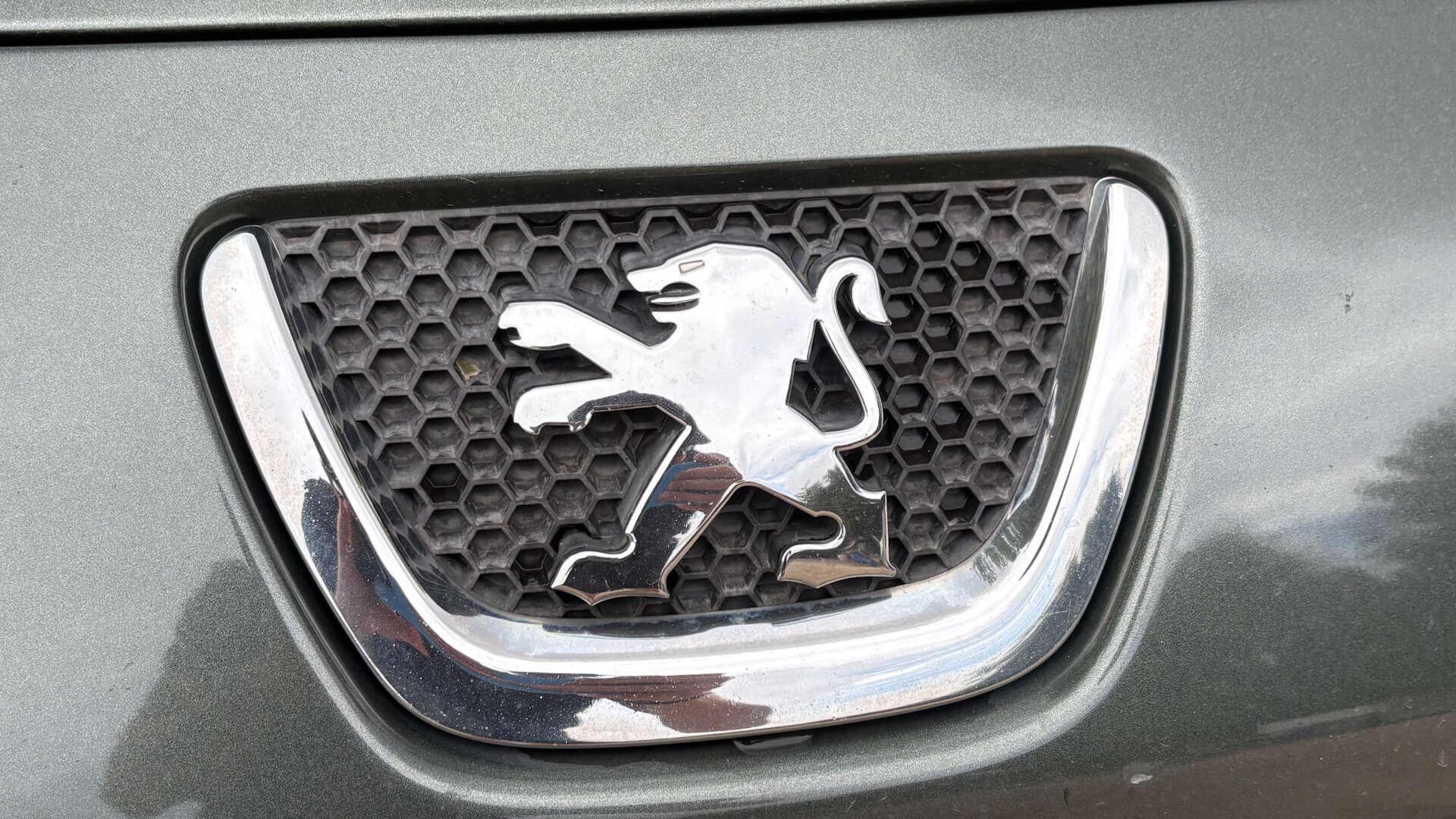 Peugeot 307 view 38