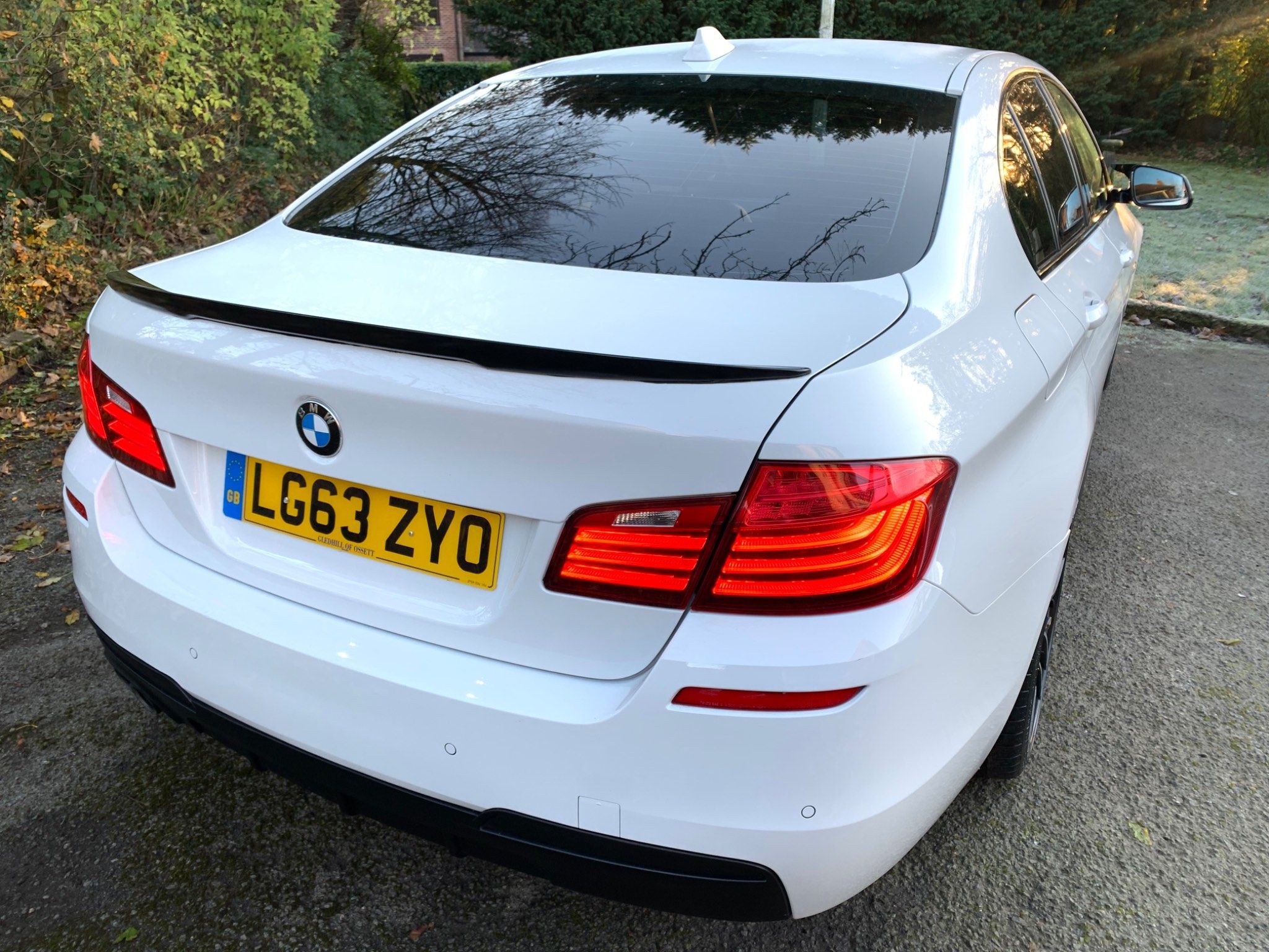 BMW 5 Series view 12