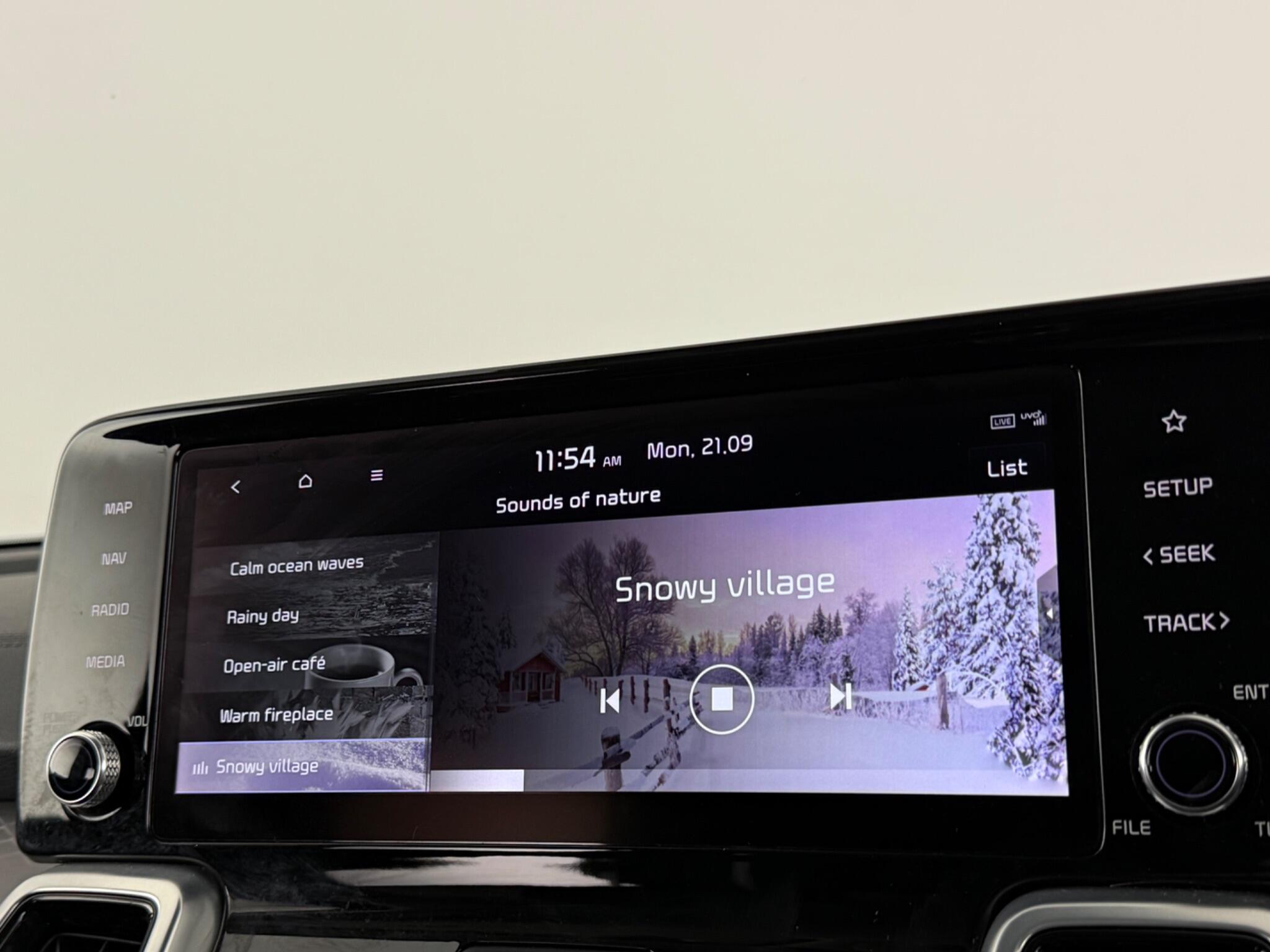 Kia Sorento view 28