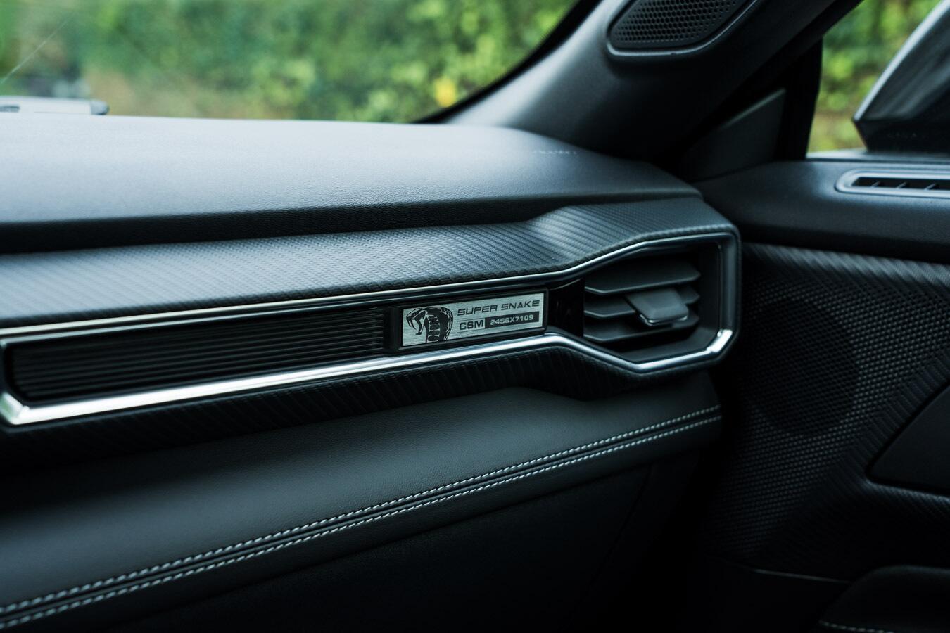 Ford Mustang view 42