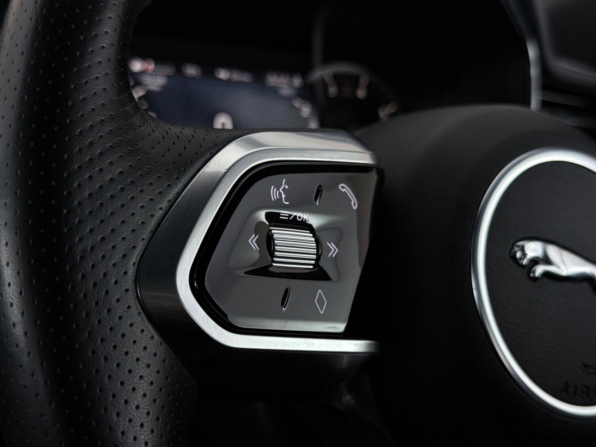 Jaguar F-Pace view 15