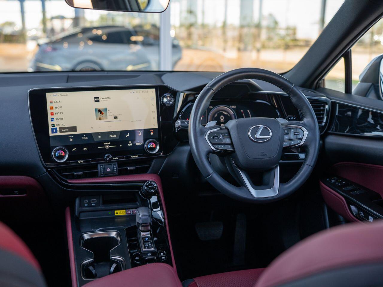 Lexus NX view 12
