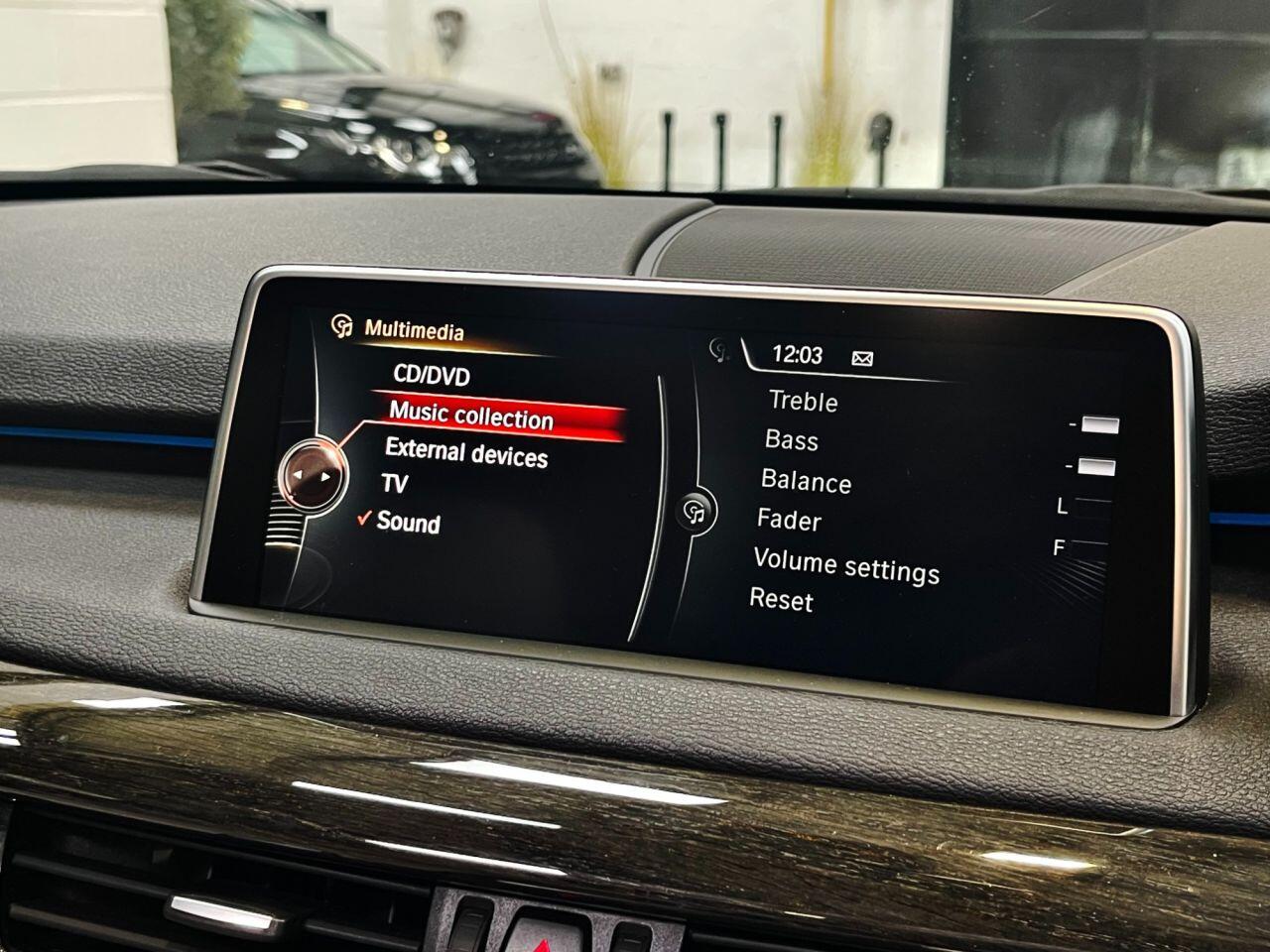 BMW X5 X5 view 25