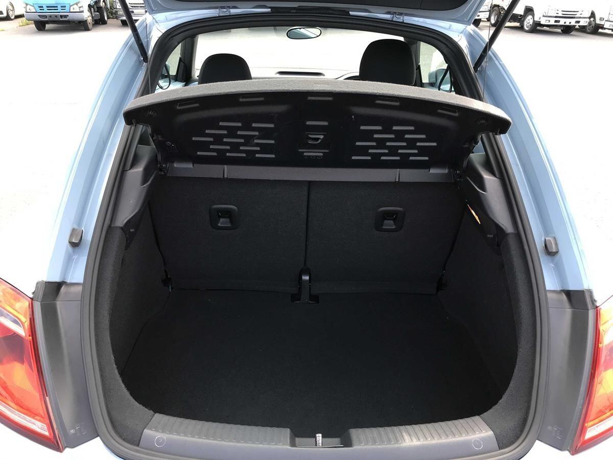 Volkswagen Beetle view 21