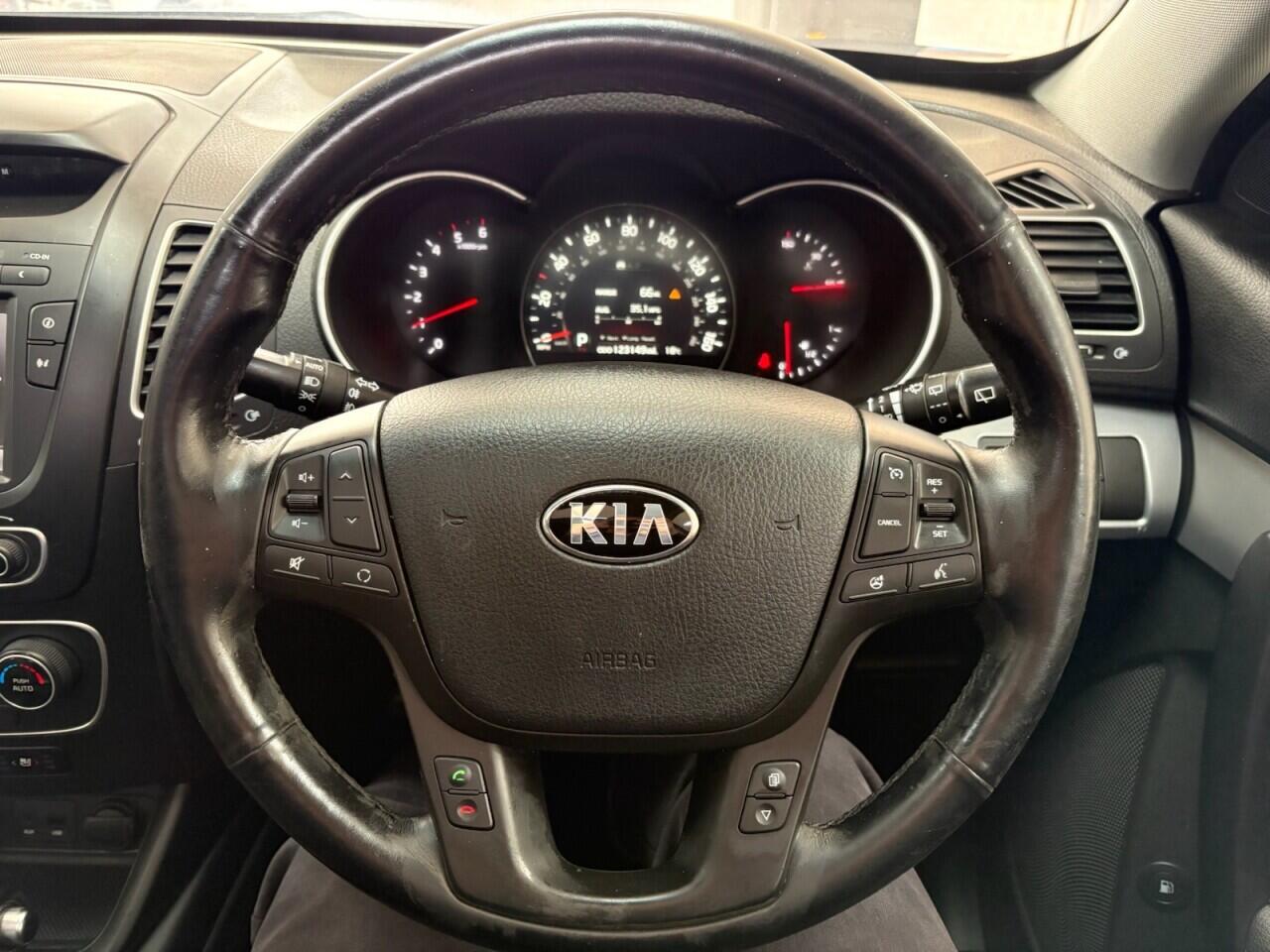 Kia Sorento view 21