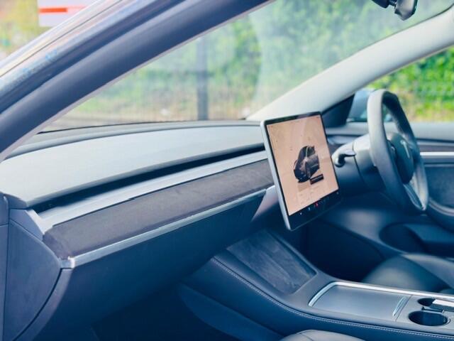 Tesla Model 3 view 18