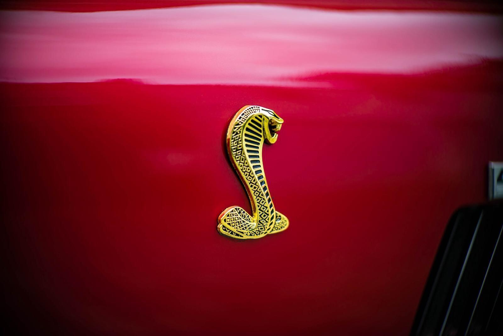Ac Cobra view 10