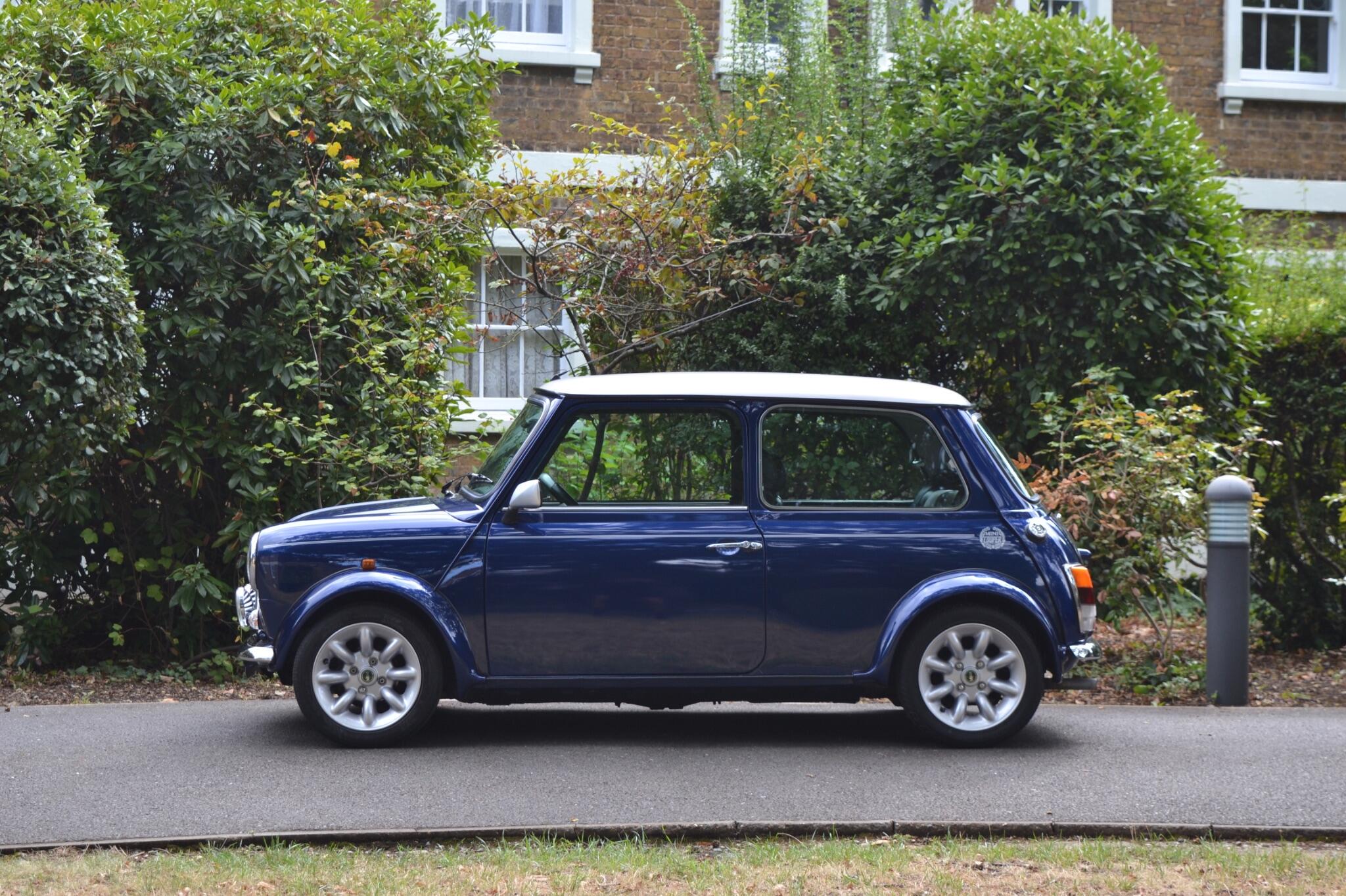 Rover Mini view 37