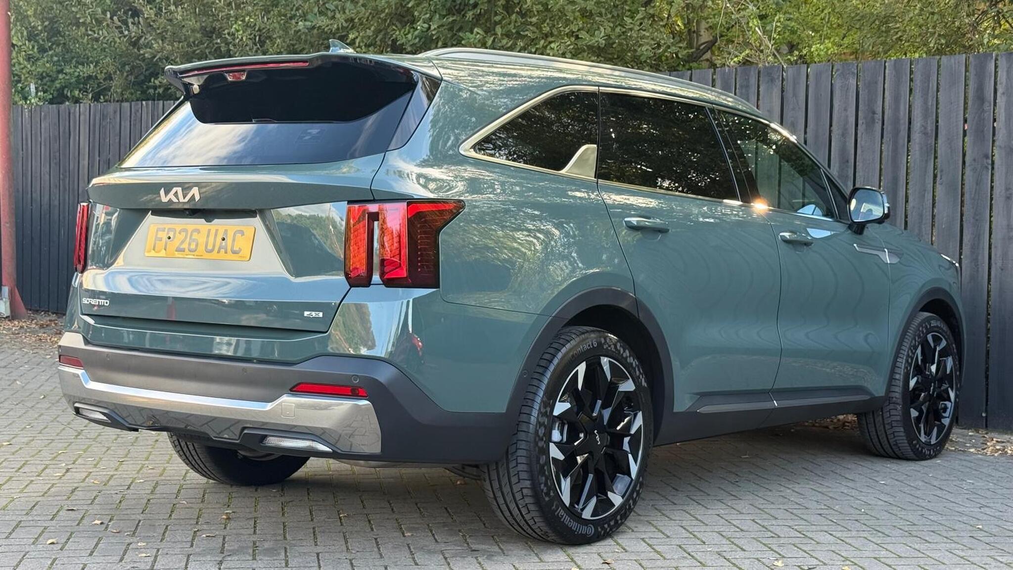 Kia Sorento view 10