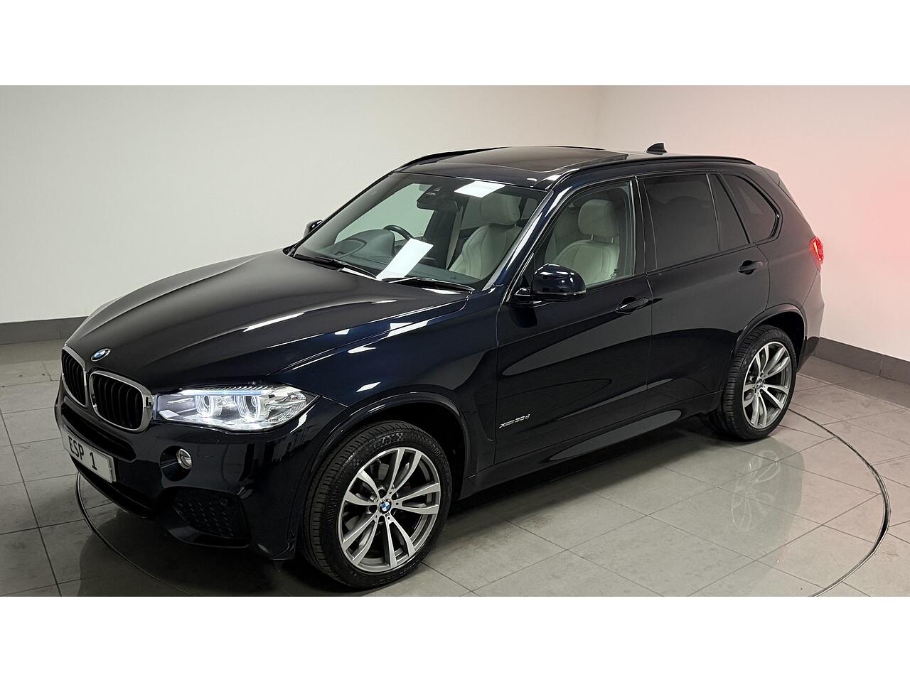 BMW X5 view 14