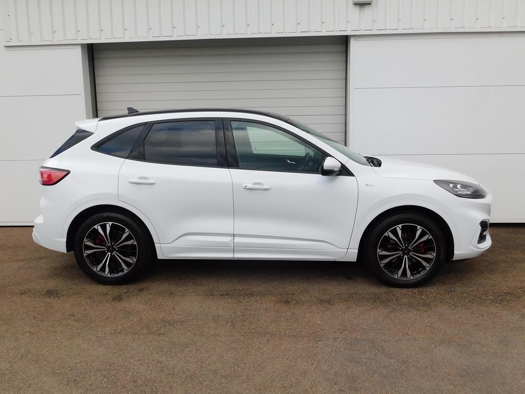 Kuga