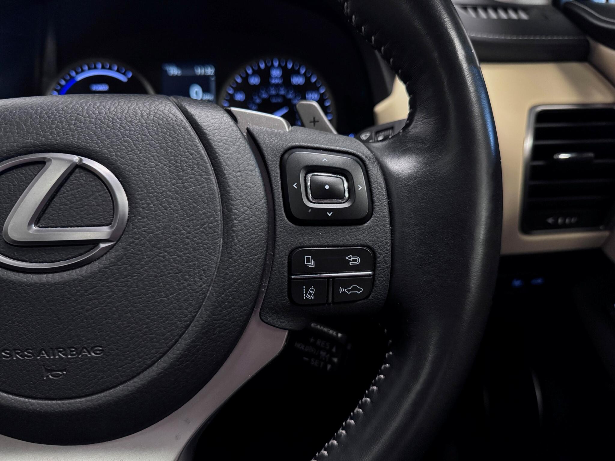 Lexus NX view 14