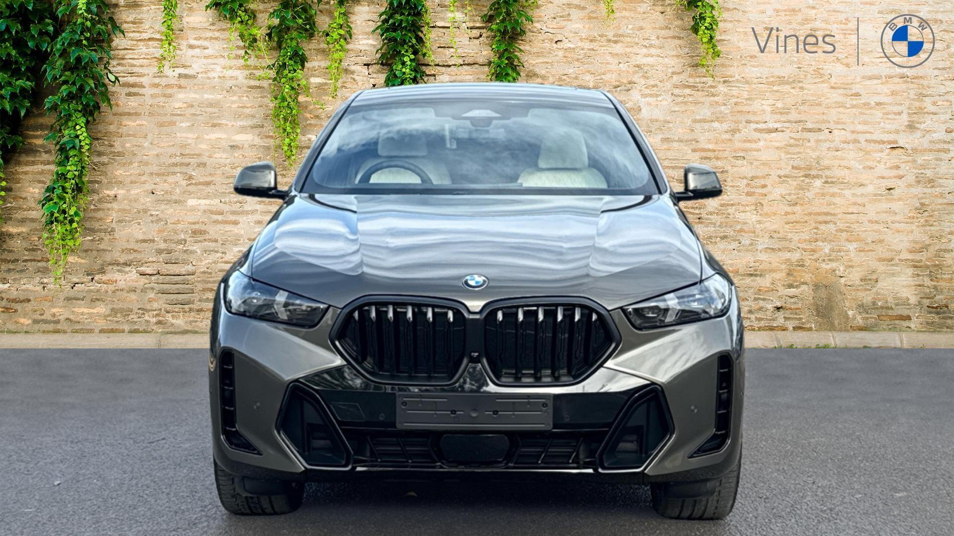 BMW X6 view 7