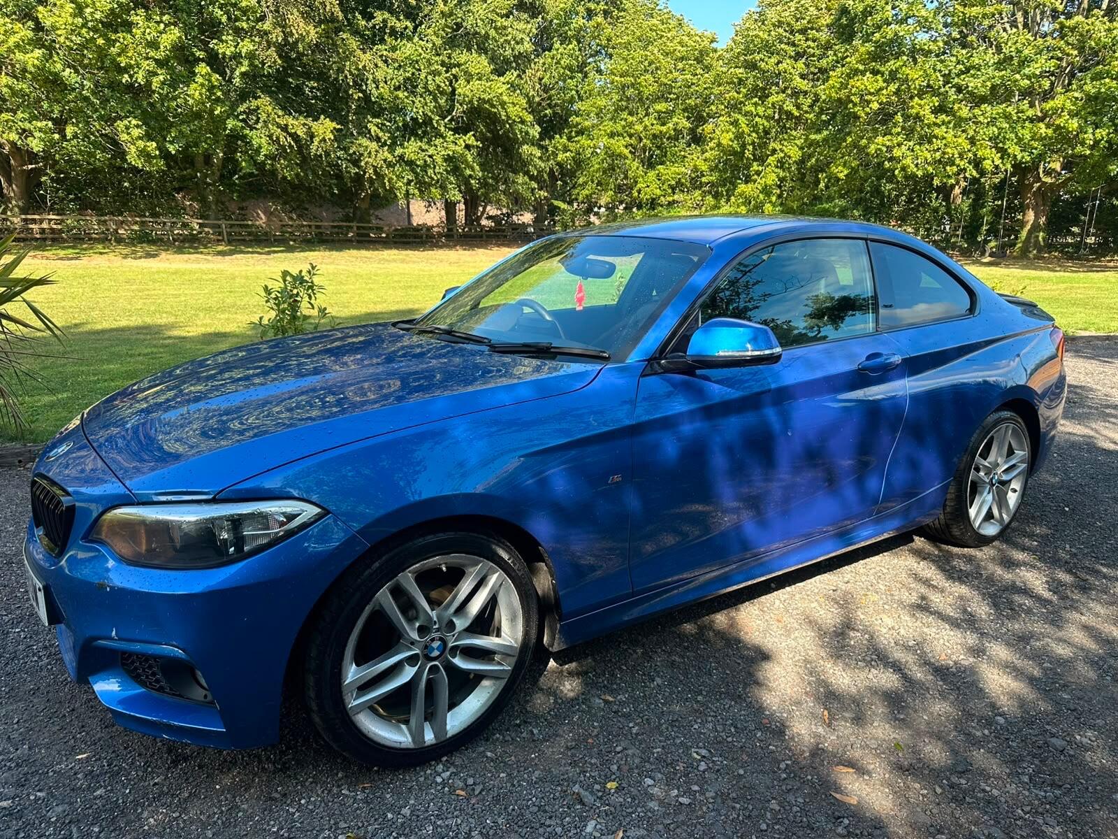 BMW 2 Series view 7