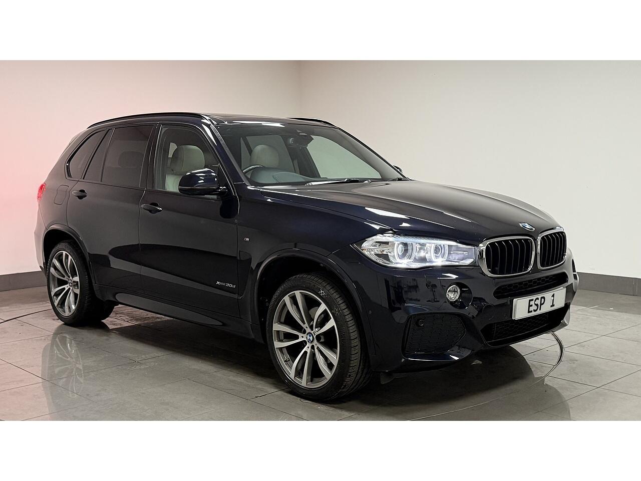 BMW X5 view 11