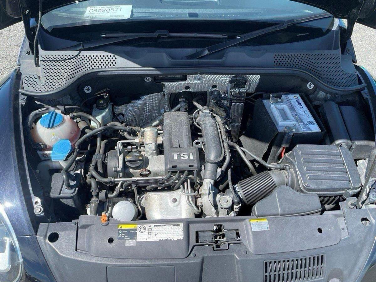 Volkswagen Beetle view 23